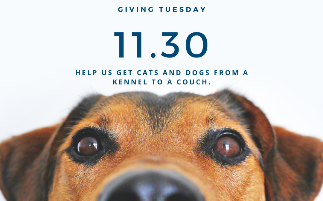 Join us for Giving Tuesday – November 30