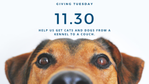 Support BTAA this Giving Tuesday