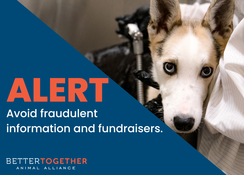 ALERT: Avoid fraudulent fundraisers and caregivers by working with trusted experts.