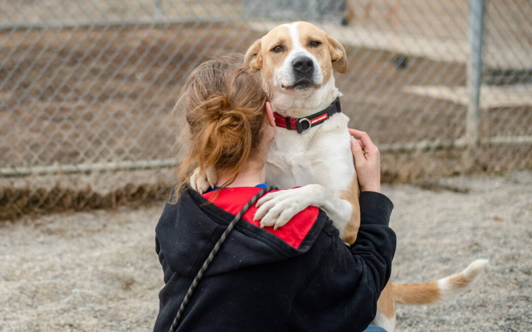 BISSELL Pet Foundation and Dogtopia Team Up to “Empty the Shelters”