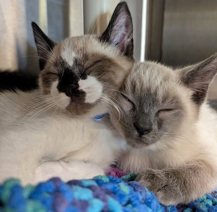 2025 Better Together Annual Report