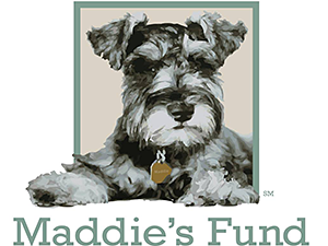 imgi_26_maddies-fund-1.png