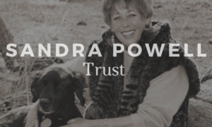 imgi_27_Sandra-Powell-300x180-1.png