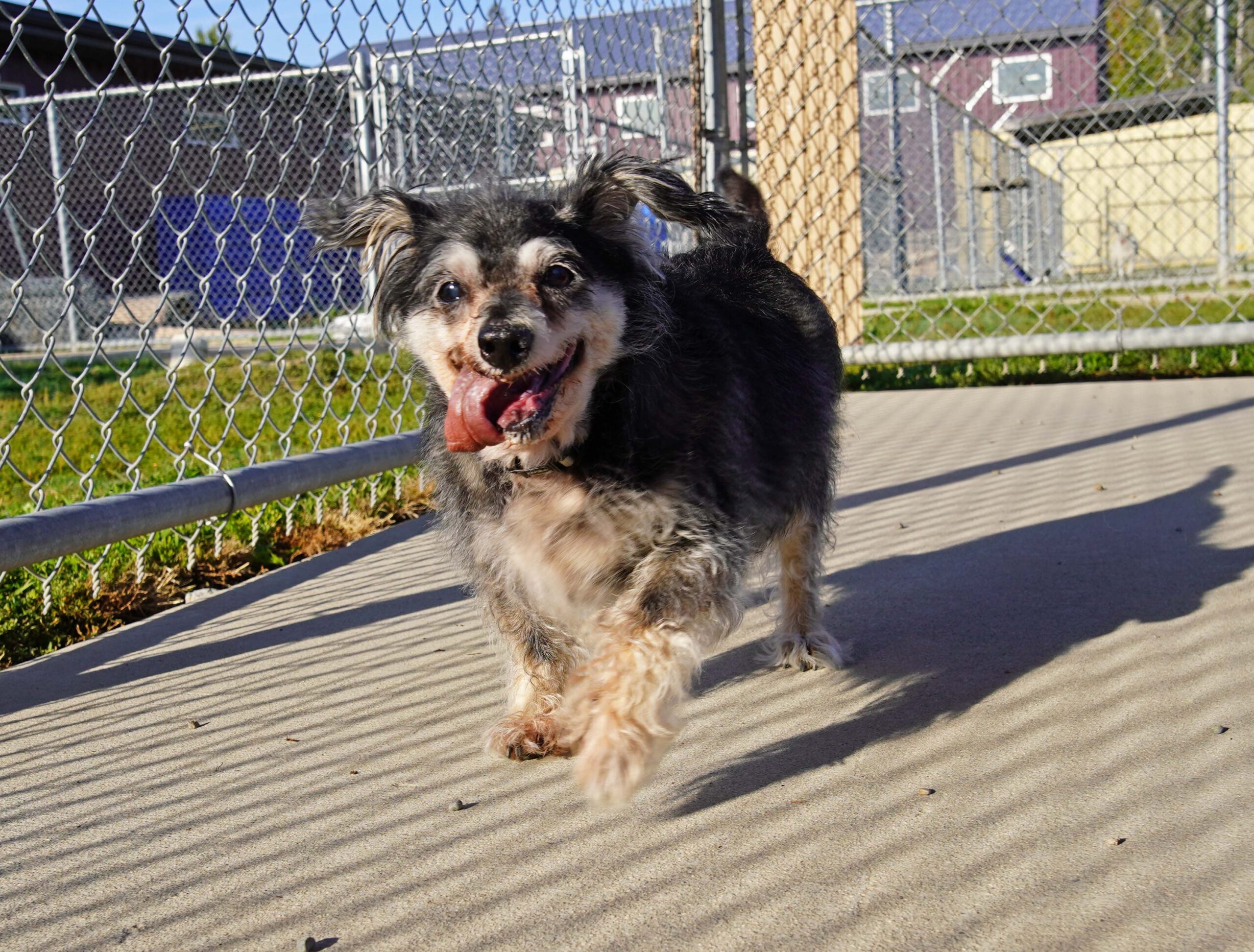 09222026_charliebucket